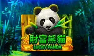 Lucky Panda