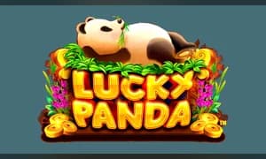 Lucky Panda
