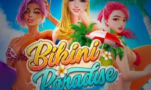 Bikini Paradise