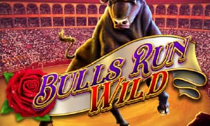 Bulls Run Wild
