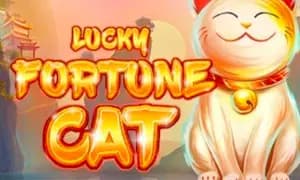 Lucky Fortune Cat