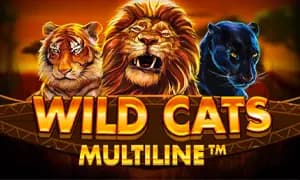 Wild Cats Multiline