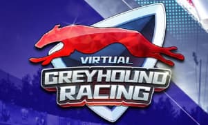 KM Virtual Greyhound Racing